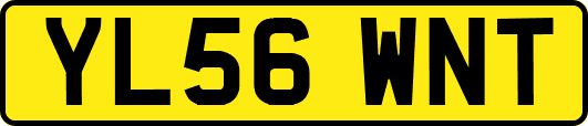 YL56WNT