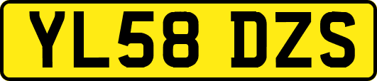 YL58DZS