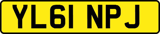 YL61NPJ