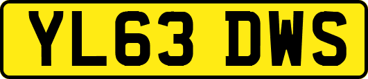 YL63DWS