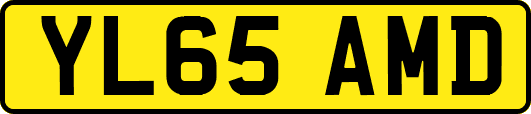 YL65AMD