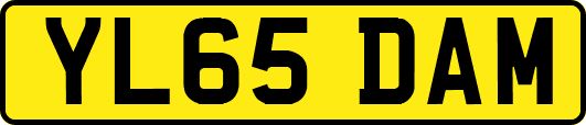 YL65DAM