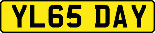 YL65DAY