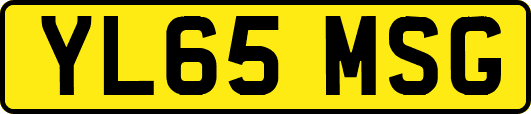 YL65MSG