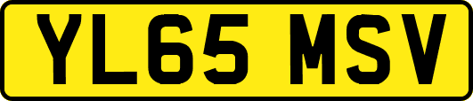 YL65MSV