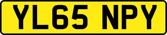 YL65NPY