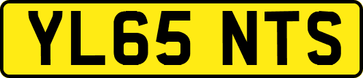 YL65NTS