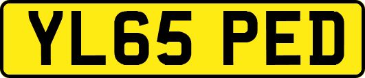 YL65PED