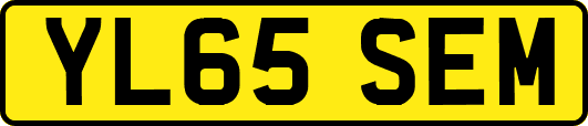 YL65SEM