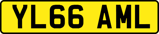 YL66AML