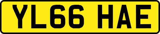 YL66HAE