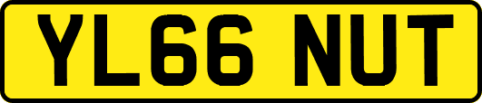 YL66NUT