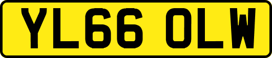 YL66OLW