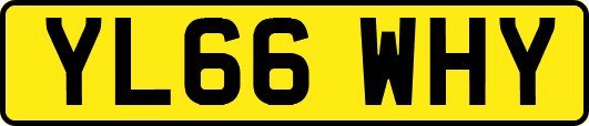 YL66WHY