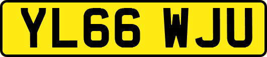 YL66WJU