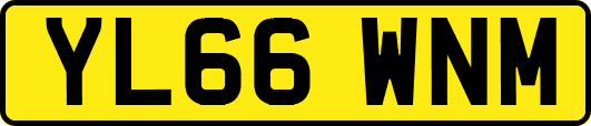 YL66WNM