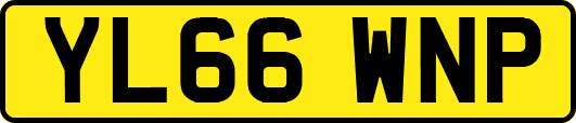 YL66WNP