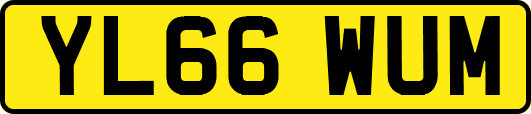 YL66WUM