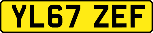 YL67ZEF