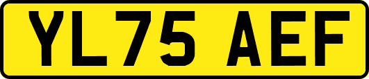 YL75AEF