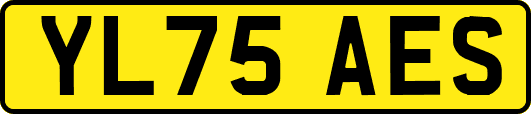 YL75AES