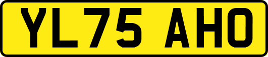 YL75AHO