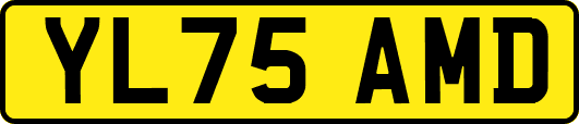 YL75AMD