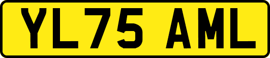 YL75AML