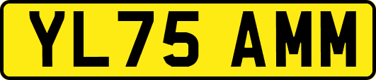 YL75AMM