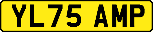 YL75AMP