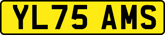 YL75AMS
