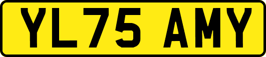 YL75AMY