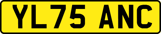 YL75ANC