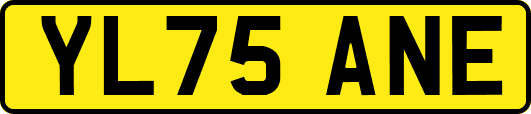 YL75ANE