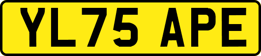 YL75APE