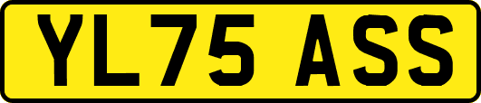 YL75ASS