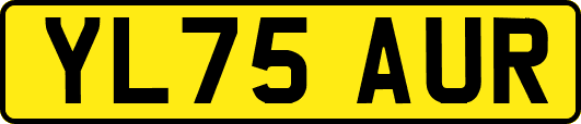 YL75AUR