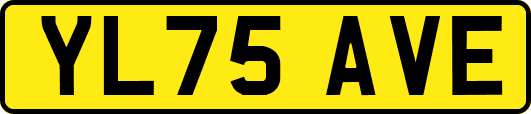 YL75AVE