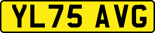 YL75AVG