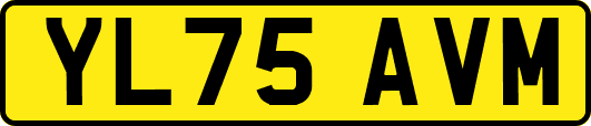 YL75AVM
