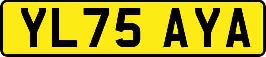 YL75AYA