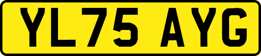 YL75AYG