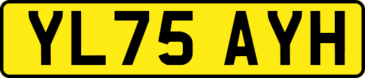 YL75AYH