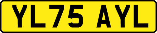 YL75AYL