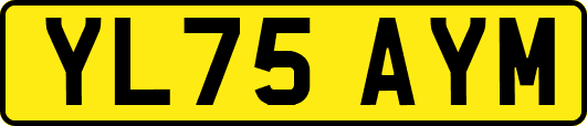 YL75AYM