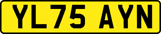YL75AYN