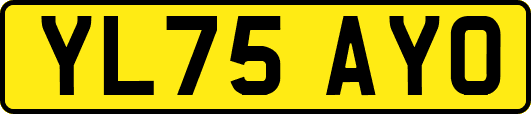 YL75AYO