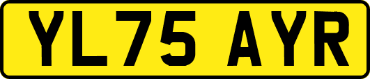 YL75AYR