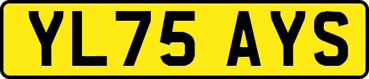 YL75AYS