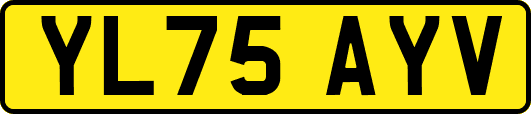 YL75AYV